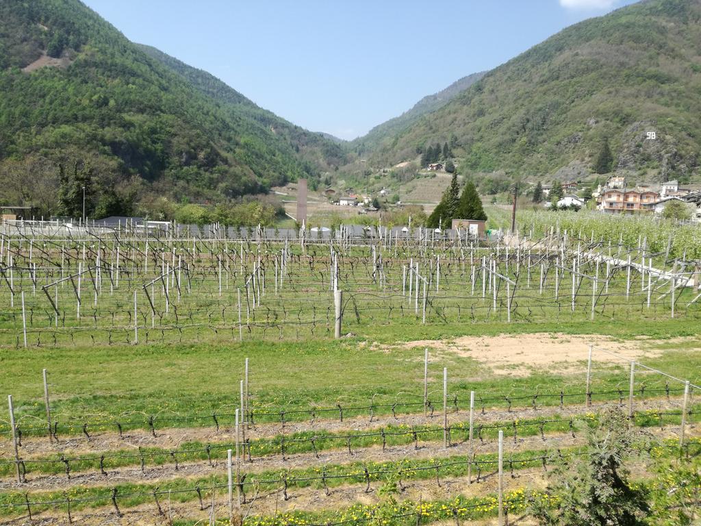 Agriturismo Le Cavade 켐브라 외부 사진